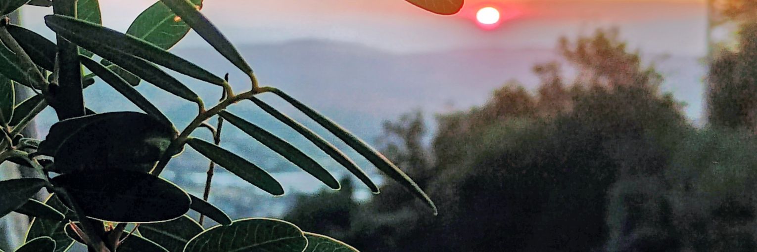 Rodrigohvilches's profile banner image