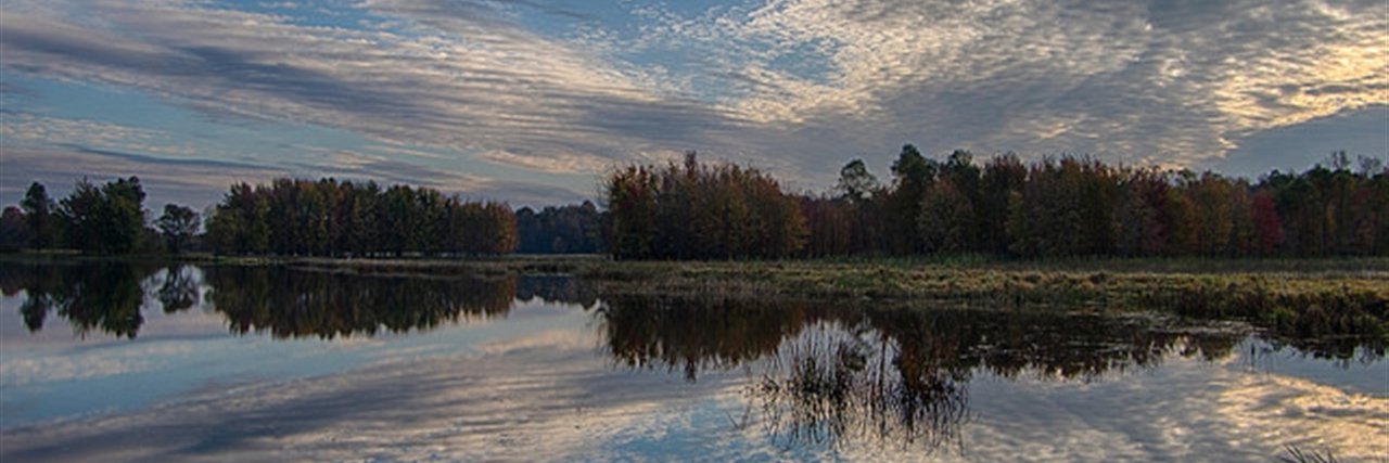 febffoucav's profile banner image