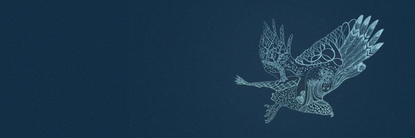 Blue-Eyed Hawk banner