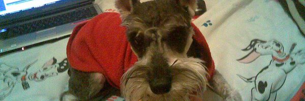 VicBoss847 Profile Banner