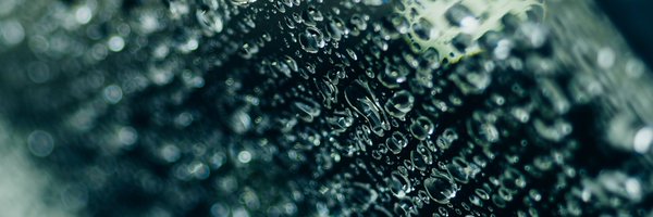 sho__pic Profile Banner
