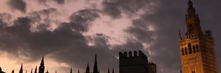 Zulemajimenez_'s profile banner image