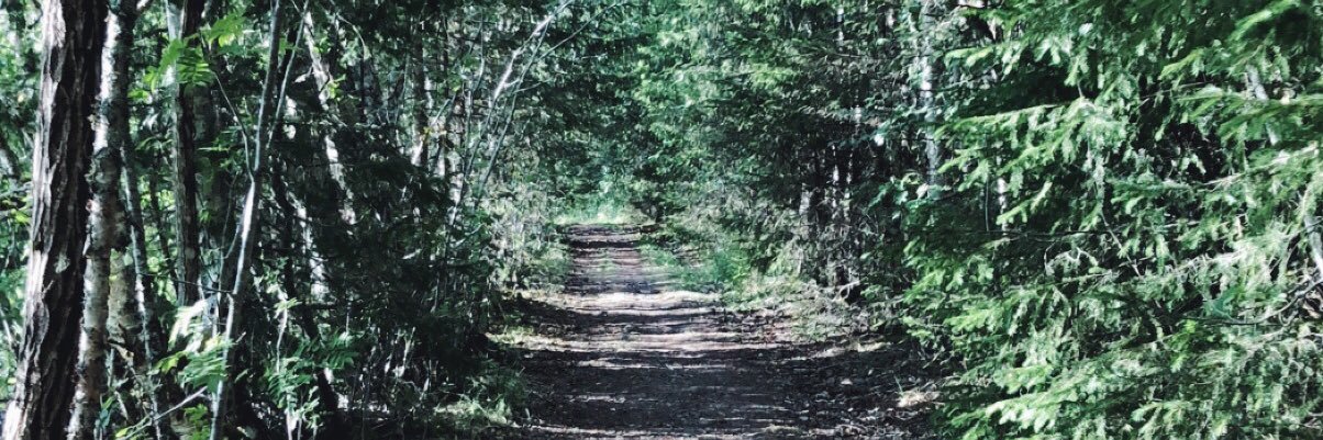 Line Cecilie Eriksen banner