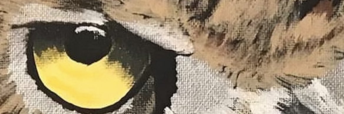 Plow74's profile banner image