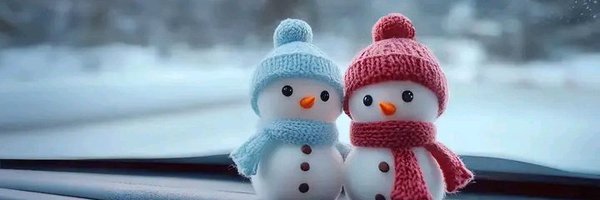 aster_bearyyy Profile Banner