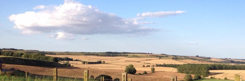 Kate Witney banner