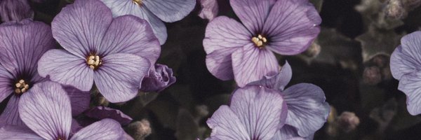 NdoyeAdrienne Profile Banner