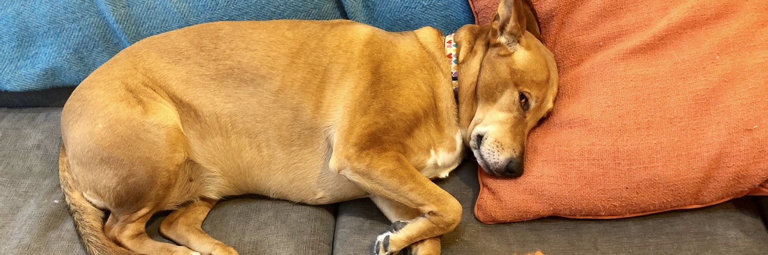 Seth Rudetsky he/him banner