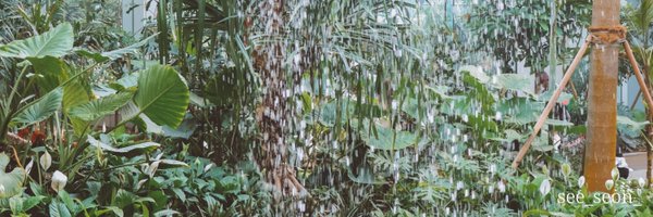 CHIwawa__wa Profile Banner