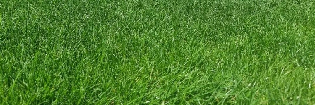 Alineación Indebida banner