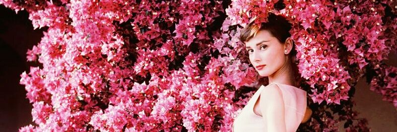 D__R__L's profile banner image