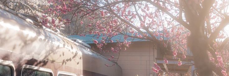 maria ♡ banner