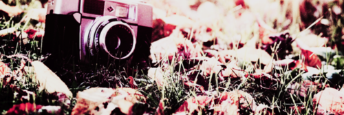 ysasilv's profile banner image