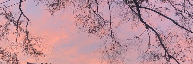 rochelleeem__'s profile banner image