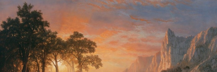 brandonadcock's profile banner image
