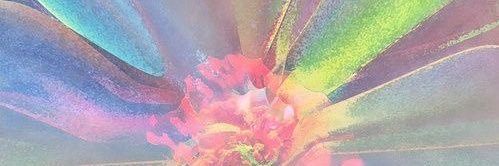 𝒞𝑜𝓈𝓂𝒾𝒸𝒶.𝓇𝑜 ☾✩ banner