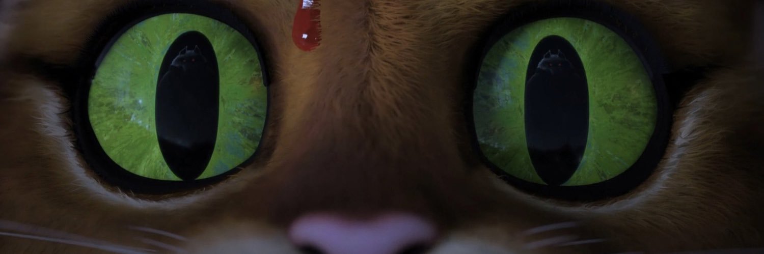 _mayuh's profile banner image