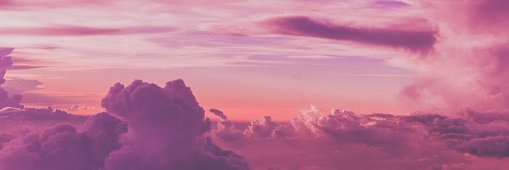 Fullmetal Exorcist ✝️ banner