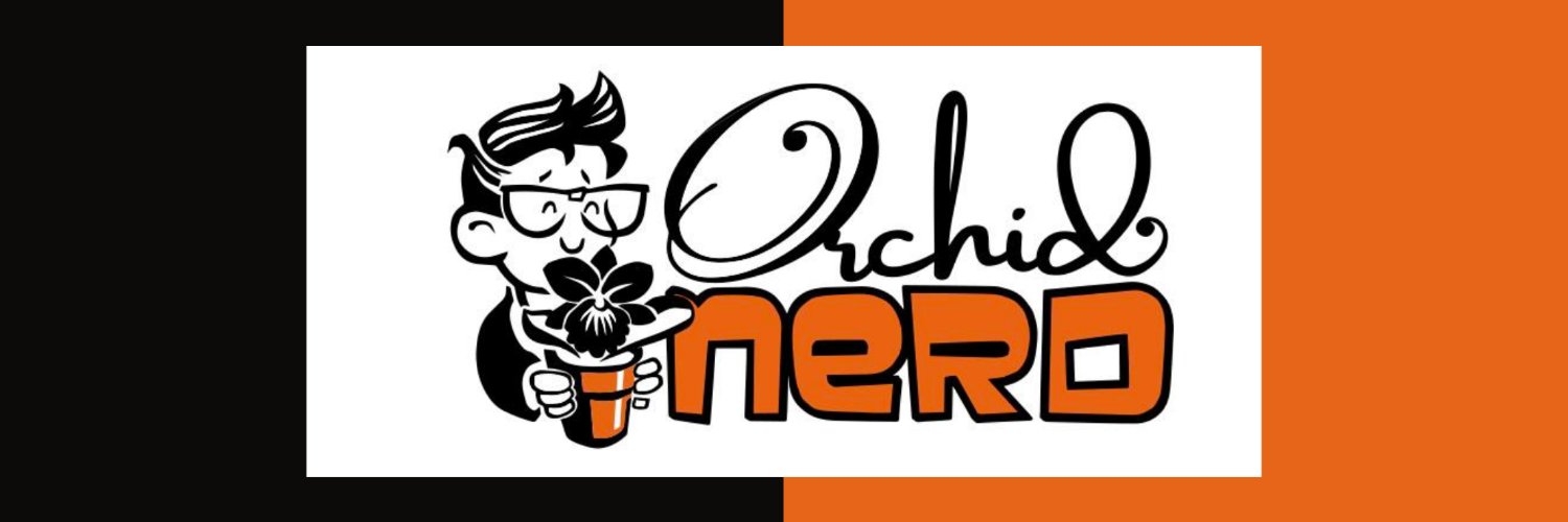 Orchidnerd's profile banner image