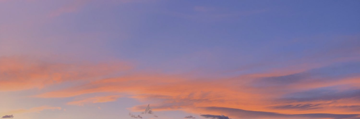 sophieeboss's profile banner image