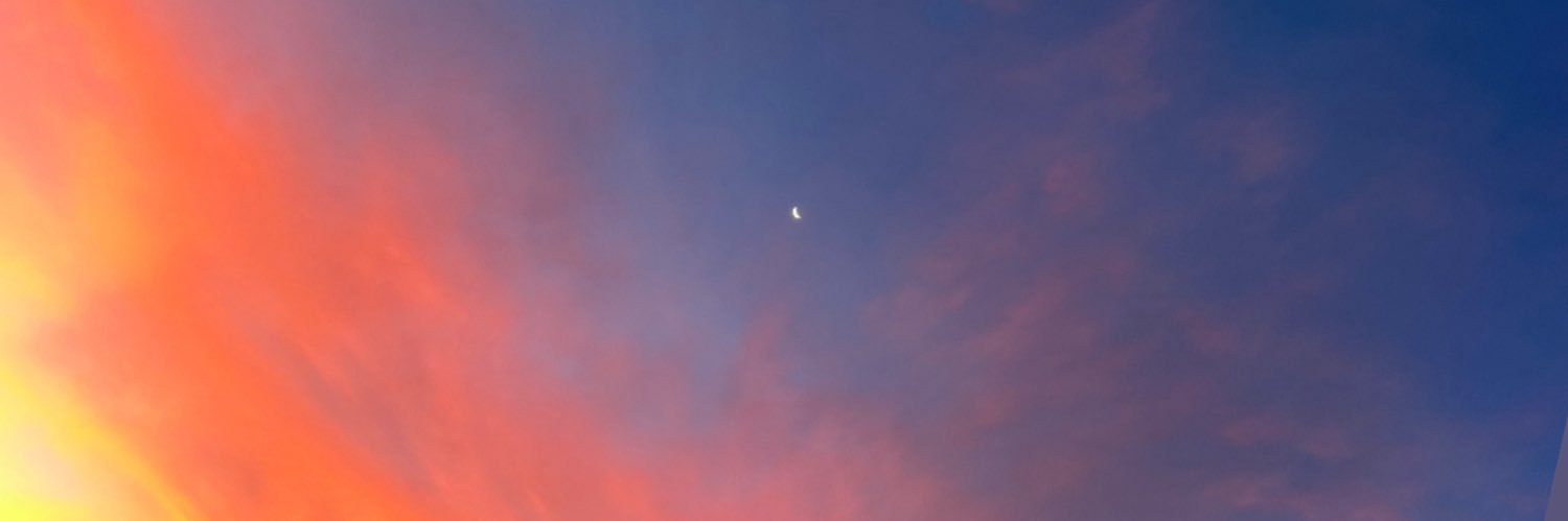 _dolphinboyy's profile banner image
