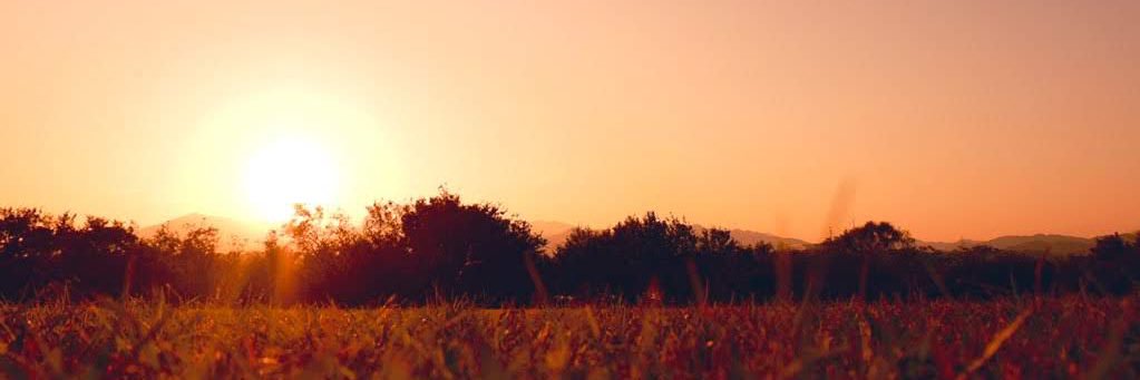 daichi_rin_oshi's profile banner image