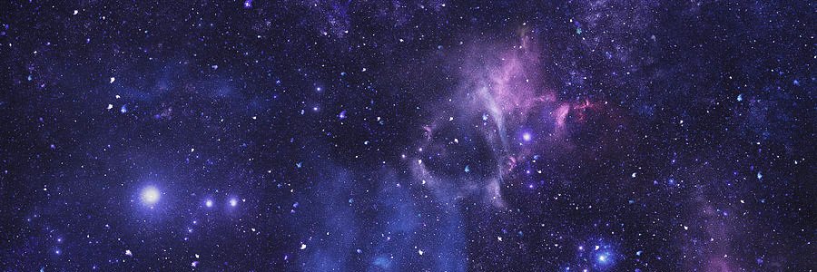 Thomas L. Fessler banner