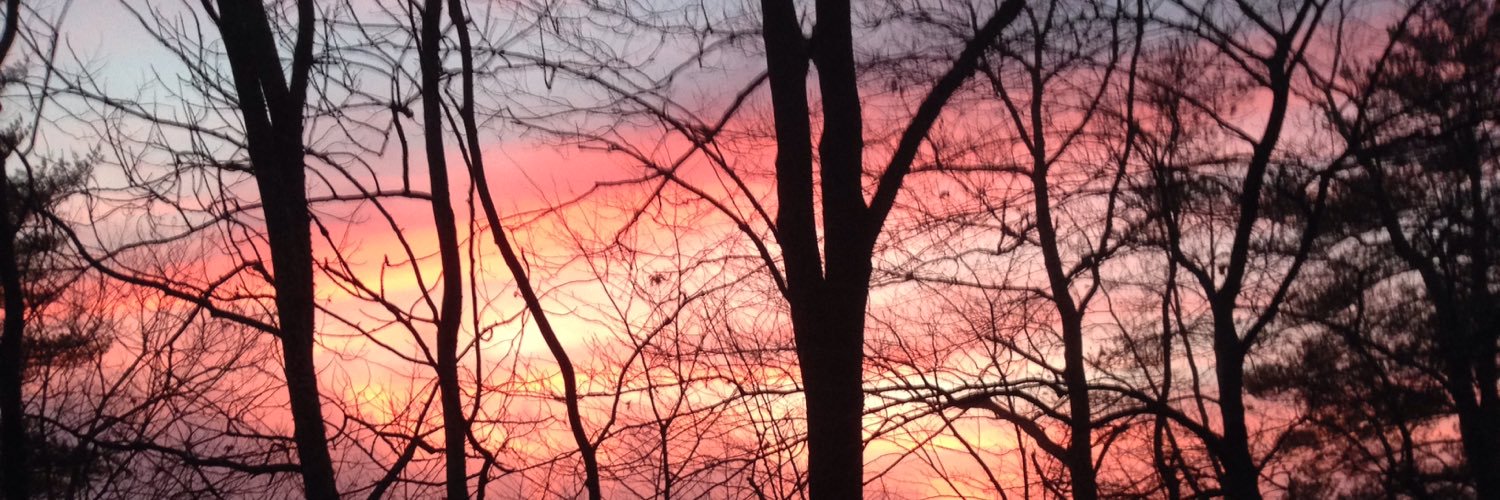 thejoshwolfe's profile banner image