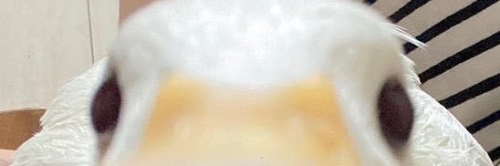 Maniek_01's profile banner image