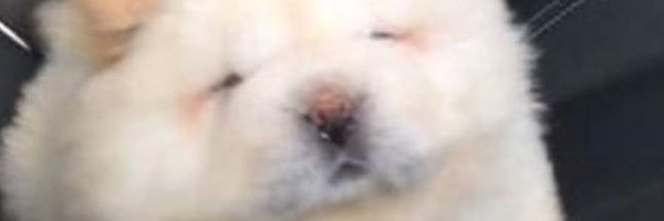 darealbreadman Profile Banner