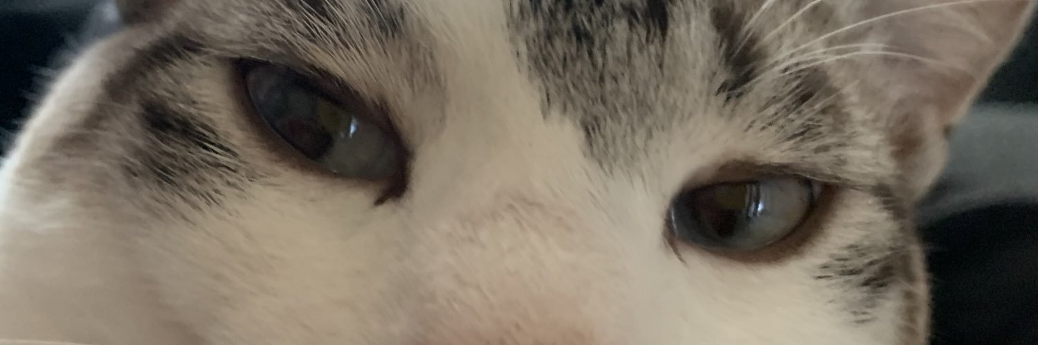 Tenori_tiger___'s profile banner image