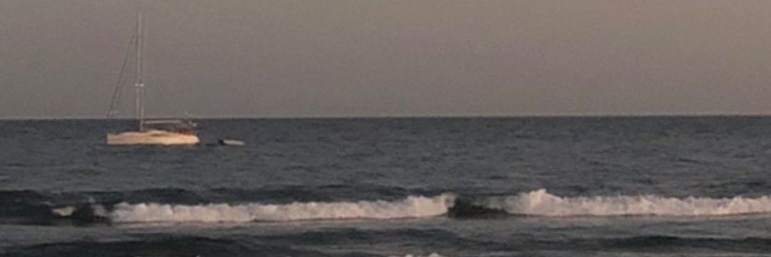 dvnancyy's profile banner image