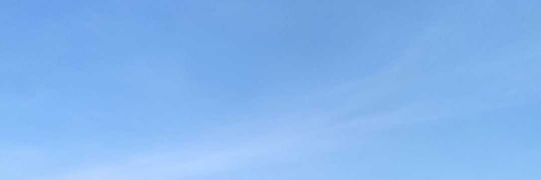 misha banner