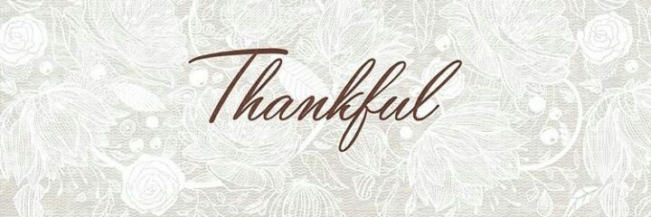 FaniAlviani's profile banner image