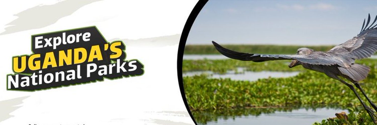 Cymo African Safaris Profile Banner
