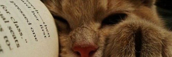 synthwavedd Profile Banner