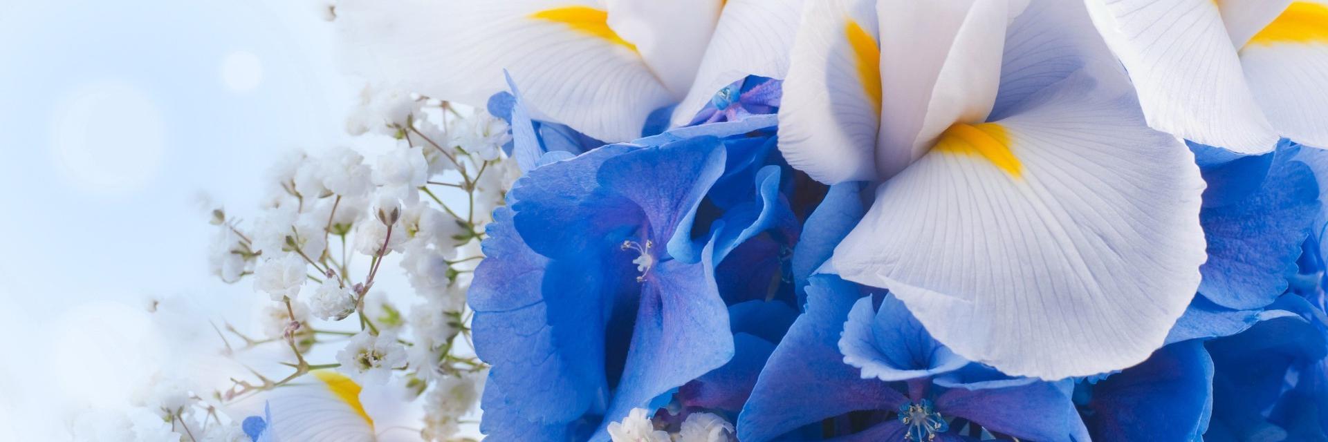 molchanowa_'s profile banner image