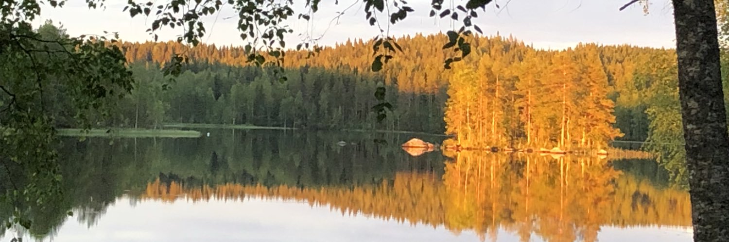 Anu Tuovinen banner