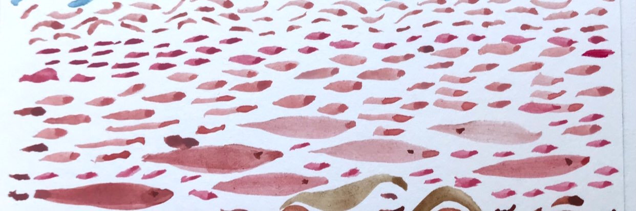 susanschwake's profile banner image