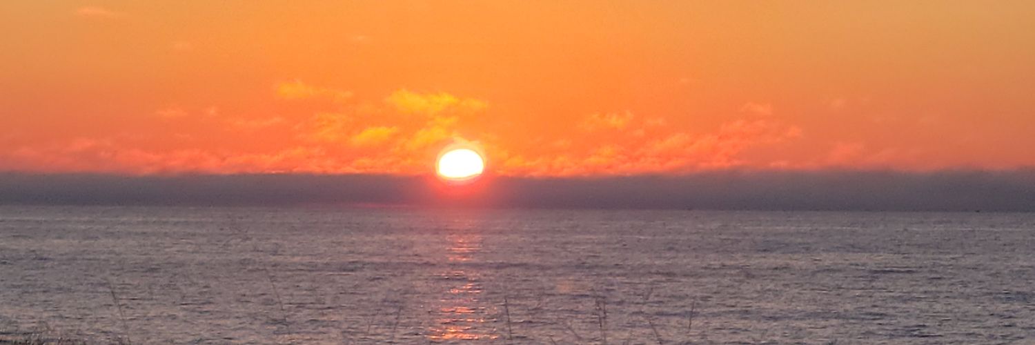 Antonietta Leonardo banner