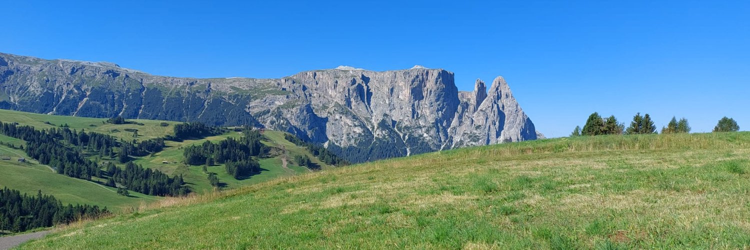 Tommaso Perini banner