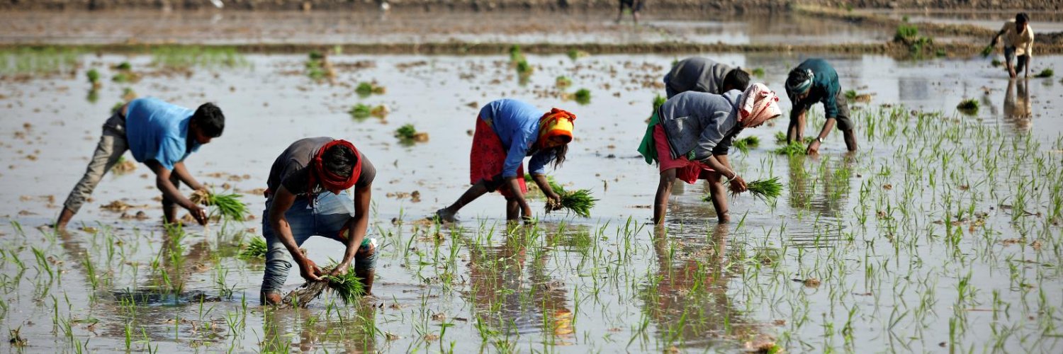Pessi | వర | प्रसाद banner