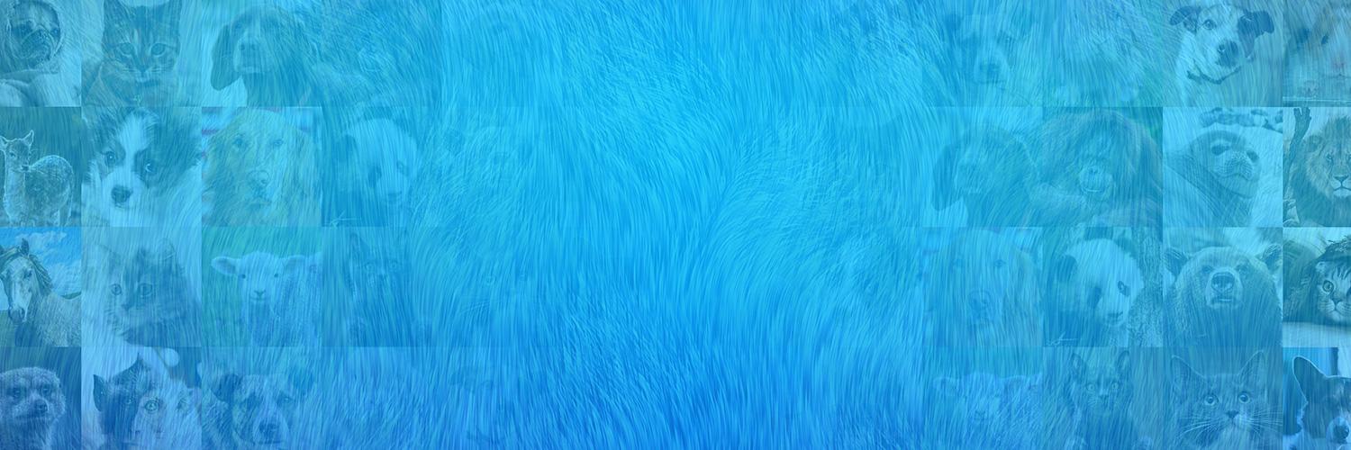 My Talking Pet 𝗧𝗵𝗲 #𝟭 𝗛𝗶𝘁 𝗔𝗽𝗽 banner