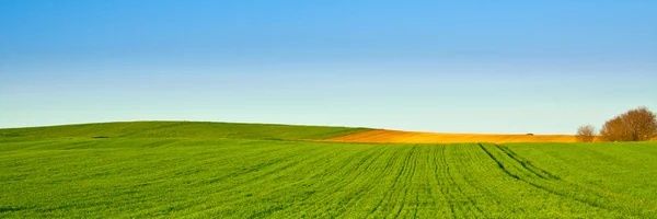 TraCTOrCiTO banner