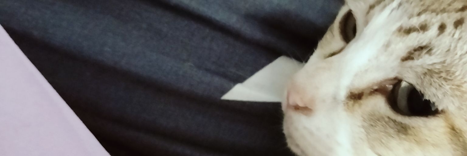 9 banner