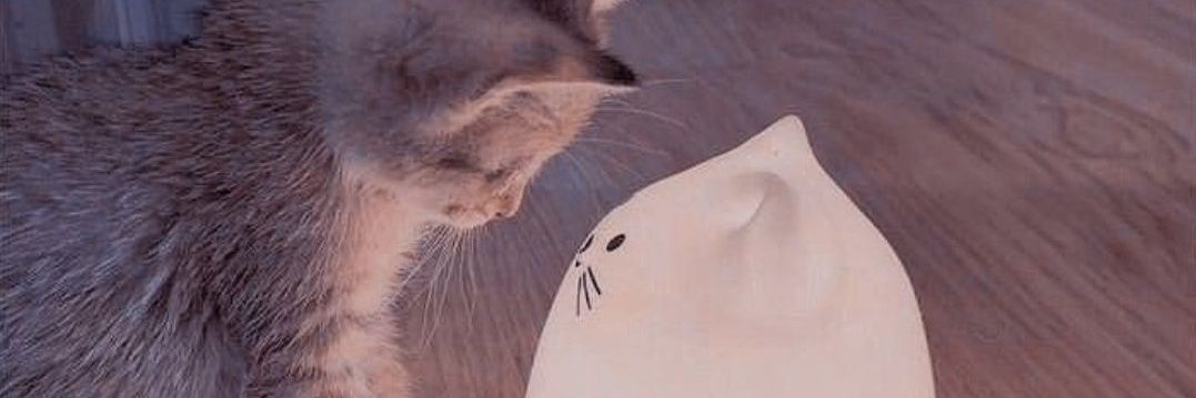 mimi²⁵ banner