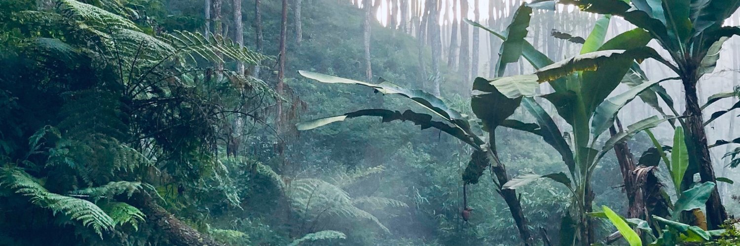 The Menopause Retreat, LLC banner