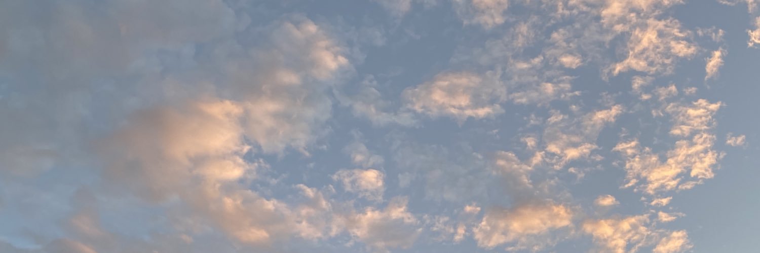 LadyCoriander's profile banner image