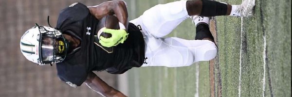 Toriaun410 Profile Banner