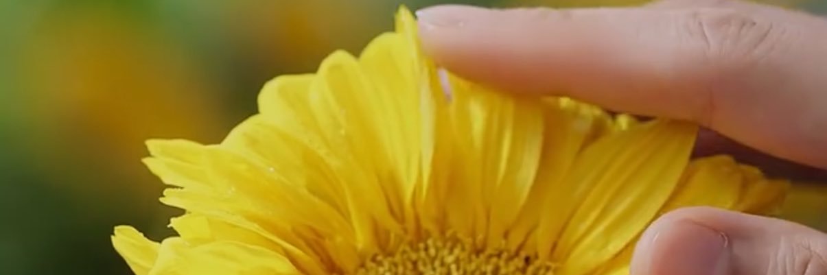 MMonmns's profile banner image